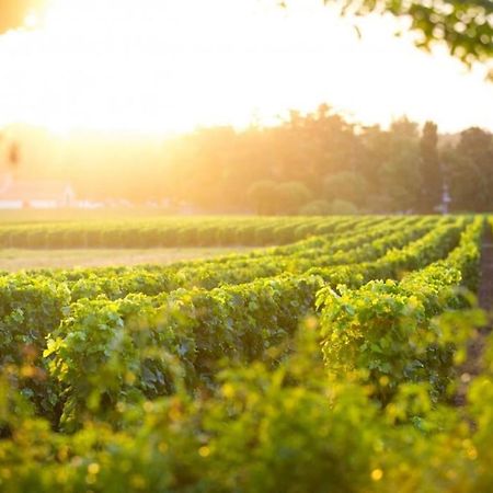 La Cle Des Vignes Villa Saint-Médard-dʼEyrans Bagian luar foto